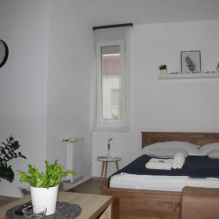 Apartment Vadvirag *