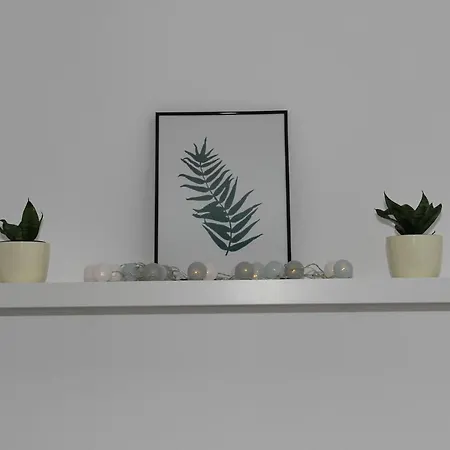 Vadvirag Apartment